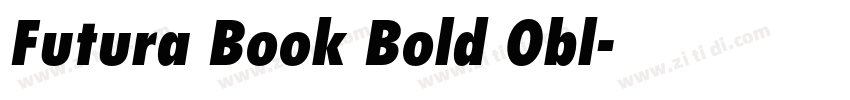 Futura Book Bold Obl字体转换